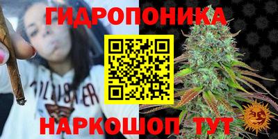 спайс Сланцы